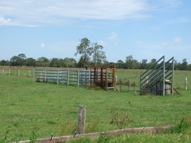 232 Moto Road, Moto NSW 2426