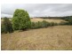 21 Riverview Drive, Wingham NSW 2429