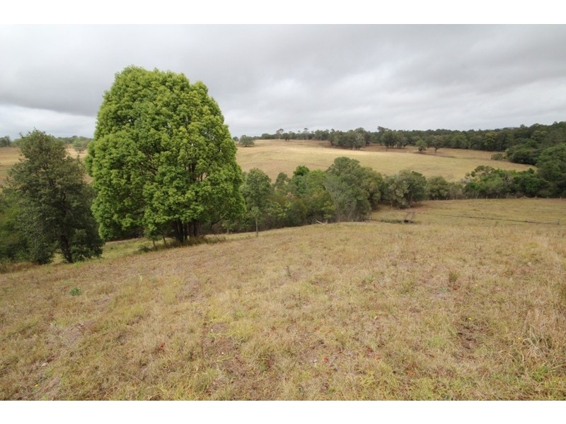 21 Riverview Drive, Wingham NSW 2429