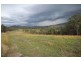 Lot 55 Nowendoc Road, Knorrit Flat NSW 2424