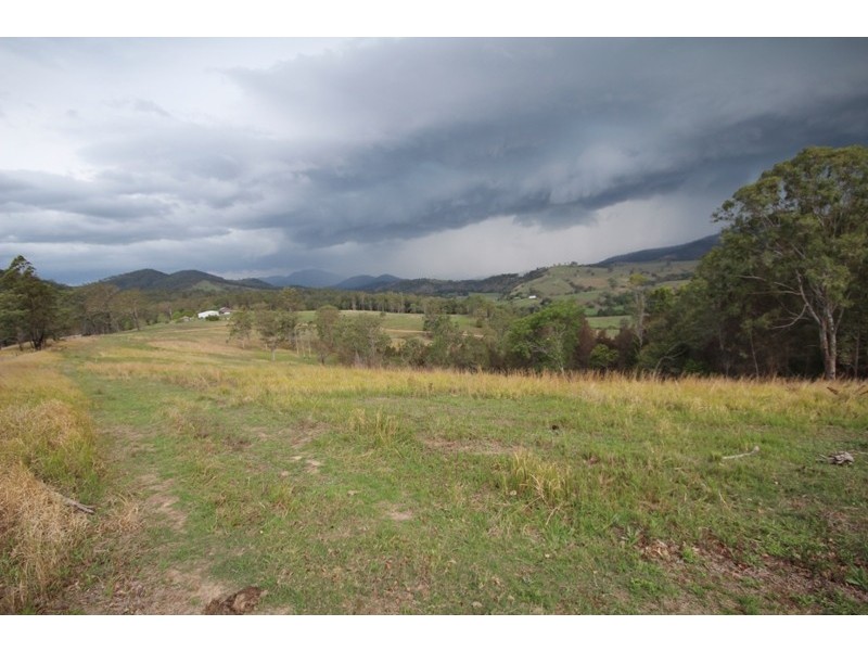 Lot 55 Nowendoc Road, Knorrit Flat NSW 2424