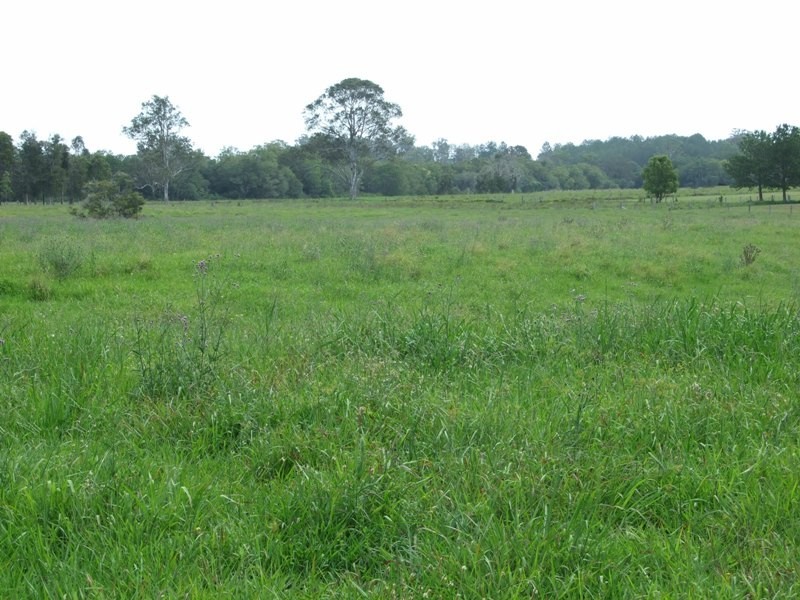 1070 Upper Lansdowne Road, Upper Lansdowne NSW 2430