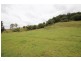 1893 Comboyne Road, Killabakh NSW 2429