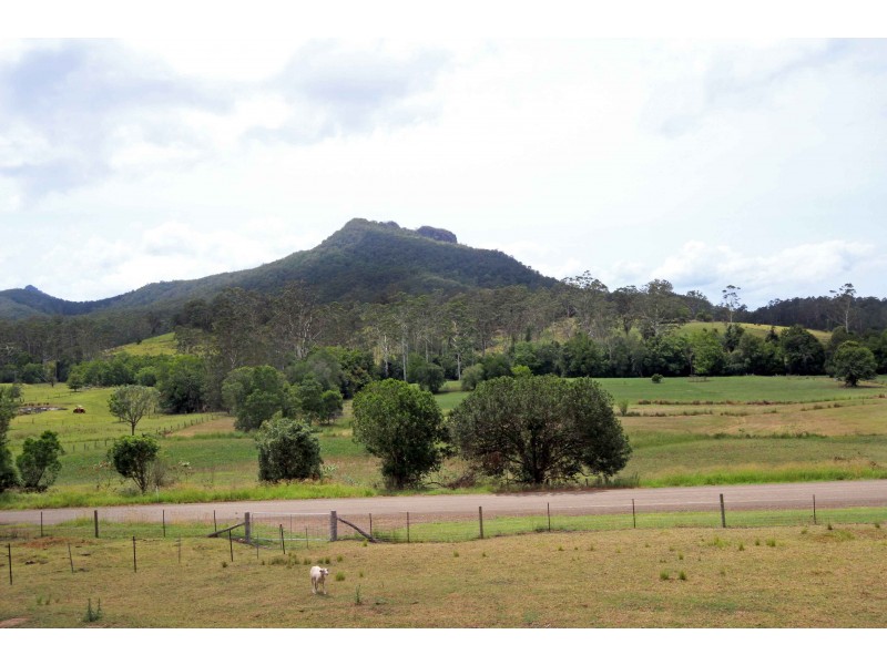 1893 Comboyne Road, Killabakh NSW 2429