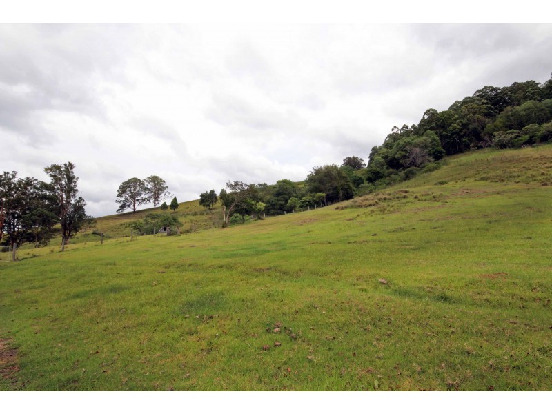 1893 Comboyne Road, Killabakh NSW 2429