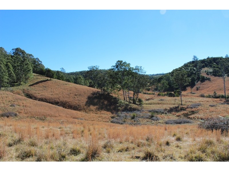 207 Tilbaroo Road, Elands NSW 2429