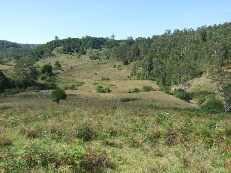 207 Tilbaroo Road, Elands NSW 2429