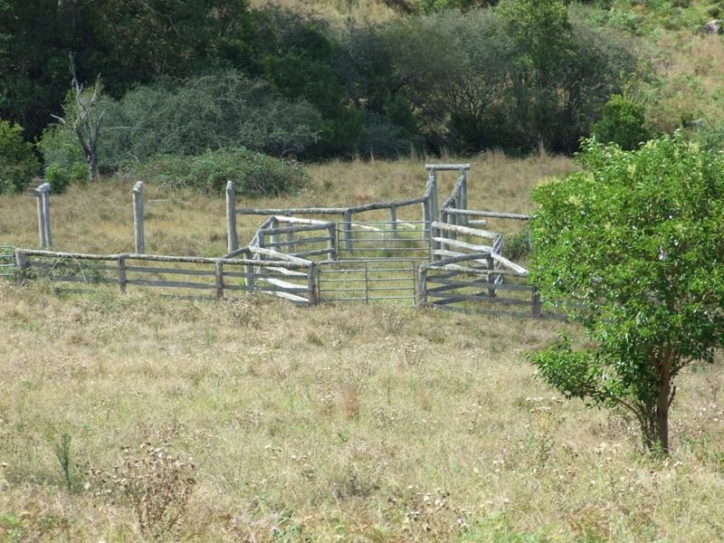 207 Tilbaroo Road, Elands NSW 2429