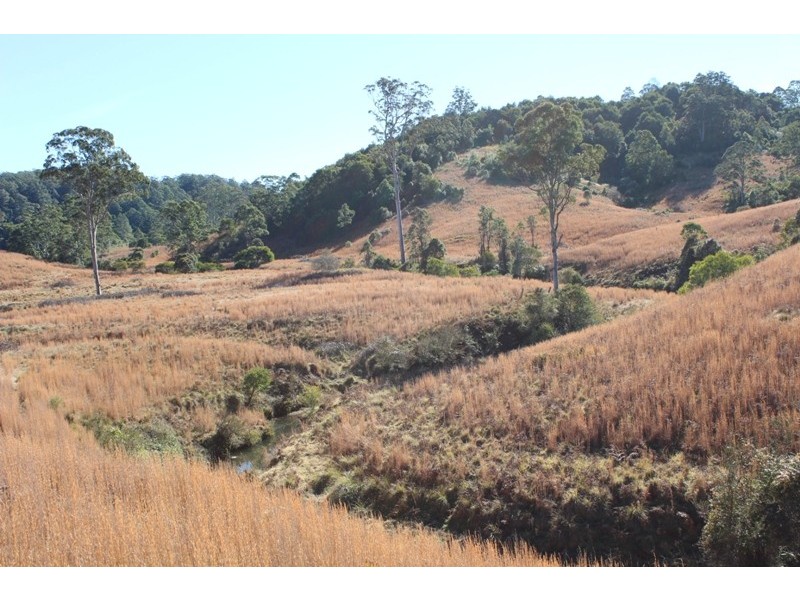 207 Tilbaroo Road, Elands NSW 2429