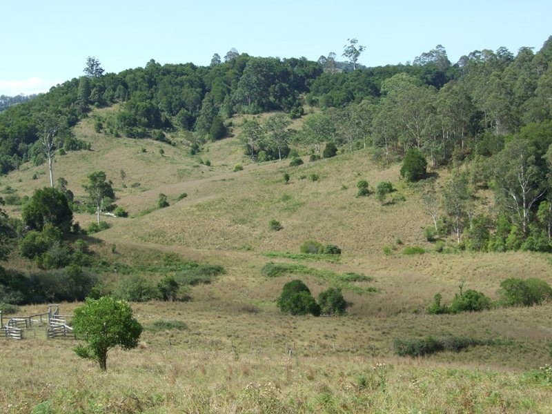 207 Tilbaroo Road, Elands NSW 2429