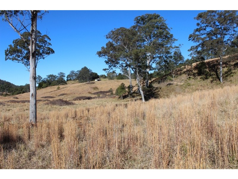 207 Tilbaroo Road, Elands NSW 2429