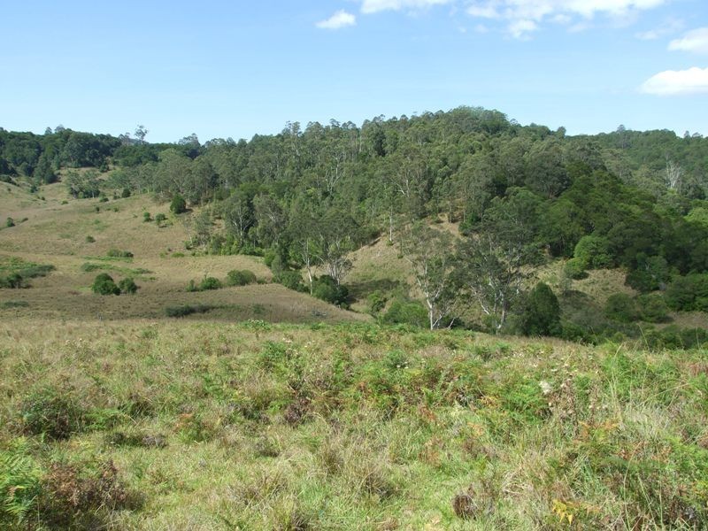 207 Tilbaroo Road, Elands NSW 2429