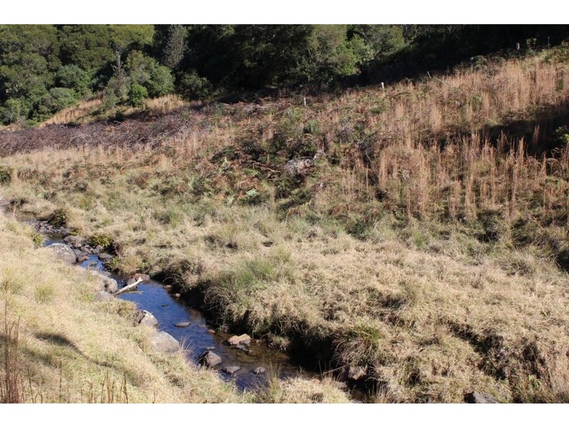 207 Tilbaroo Road, Elands NSW 2429