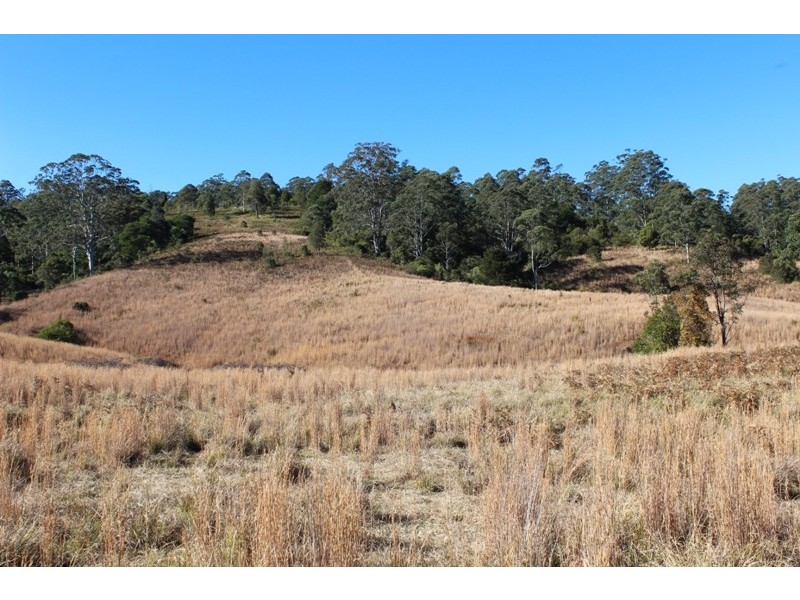 207 Tilbaroo Road, Elands NSW 2429