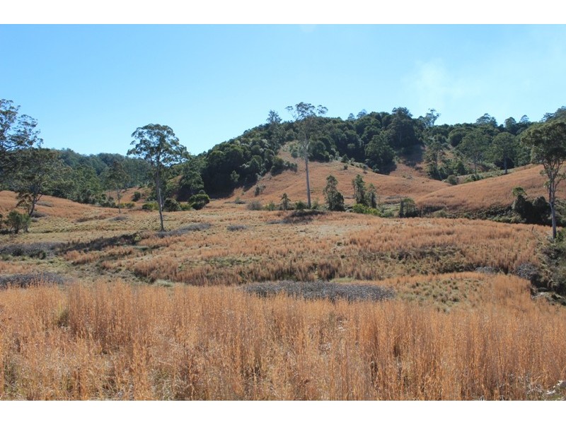 207 Tilbaroo Road, Elands NSW 2429