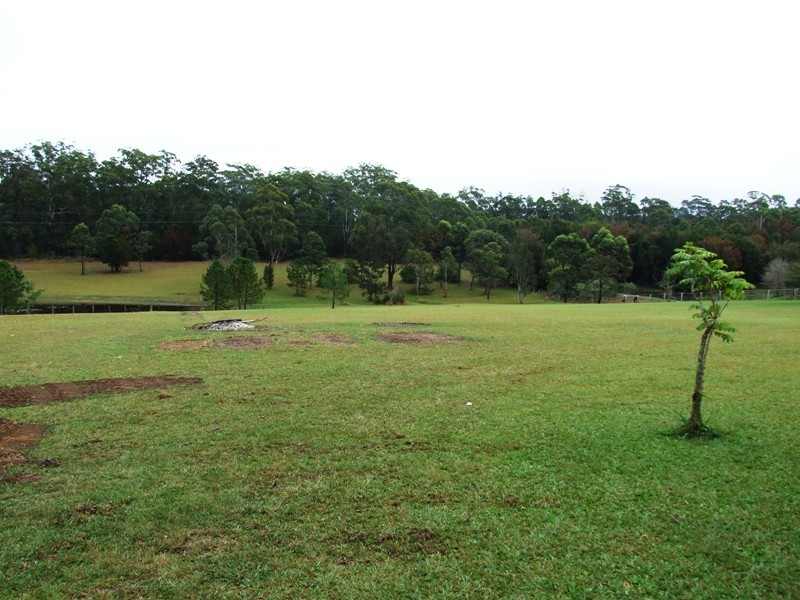 153 Bullocky Way, Failford NSW 2430