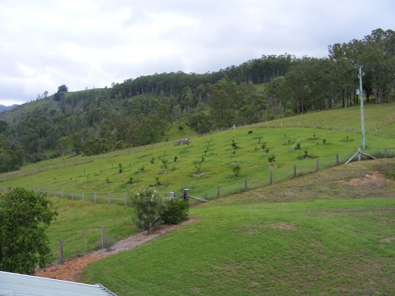 211 Little Run Road, Wherrol Flat NSW 2429