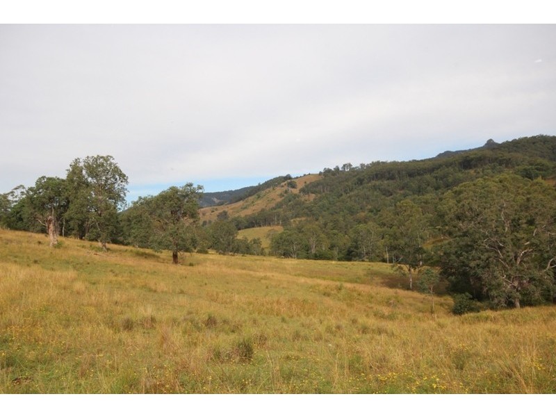 211 Little Run Road, Wherrol Flat NSW 2429