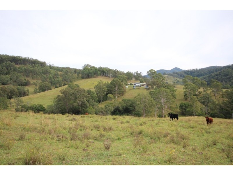 211 Little Run Road, Wherrol Flat NSW 2429