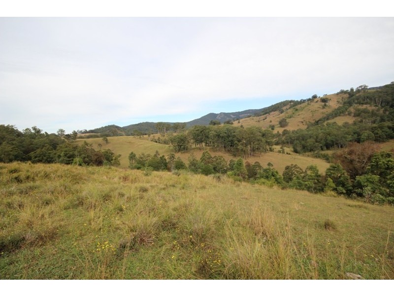 211 Little Run Road, Wherrol Flat NSW 2429