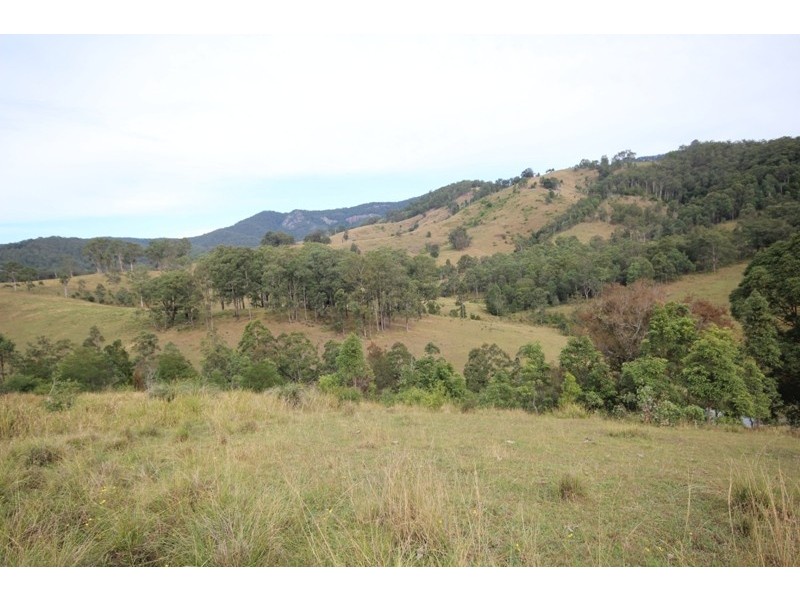 211 Little Run Road, Wherrol Flat NSW 2429