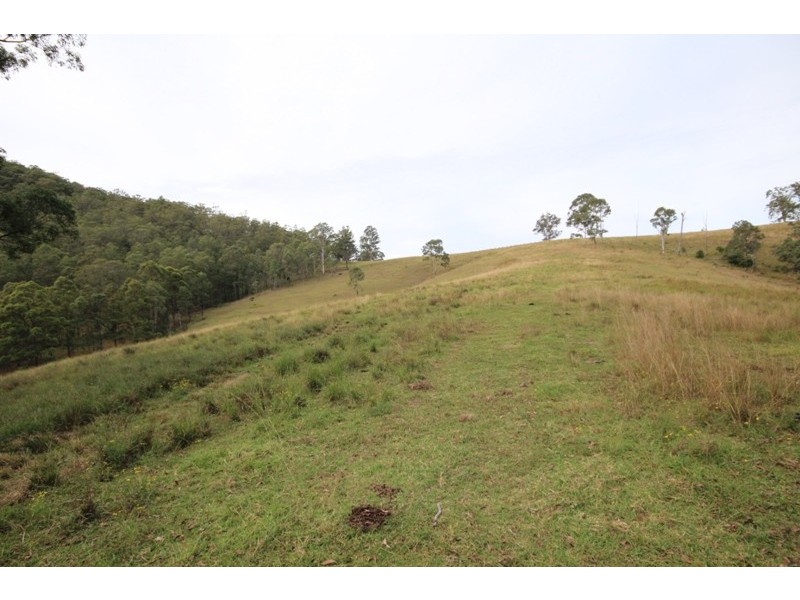 211 Little Run Road, Wherrol Flat NSW 2429