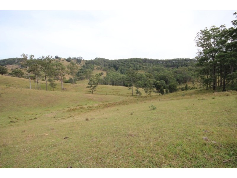 211 Little Run Road, Wherrol Flat NSW 2429