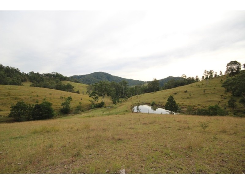 211 Little Run Road, Wherrol Flat NSW 2429