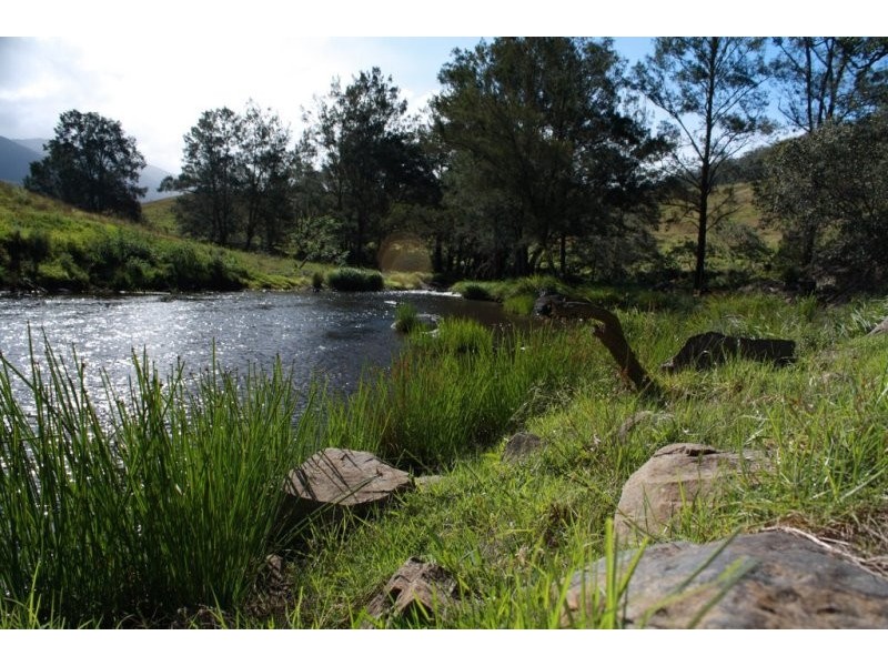 Lots 48 and 129 Nowendoc Road, Caffreys Flat NSW 2424
