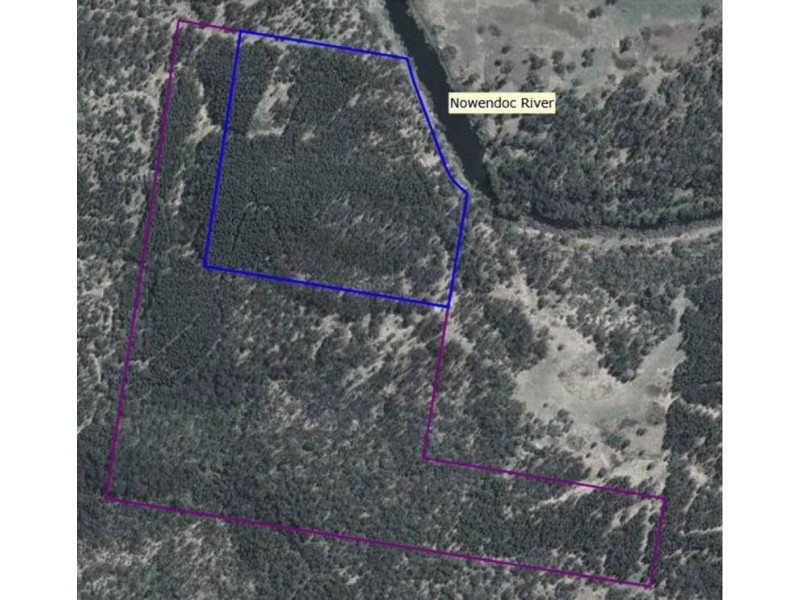 Lots 48 and 129 Nowendoc Road, Caffreys Flat NSW 2424