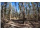 Lots 48 and 129 Nowendoc Road, Caffreys Flat NSW 2424
