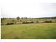 221 Marchfield Road, Wingham NSW 2429