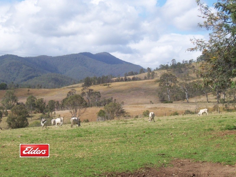 3849 Nowendoc Road, Number One NSW 2424