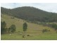 3849 Nowendoc Road, Number One NSW 2424