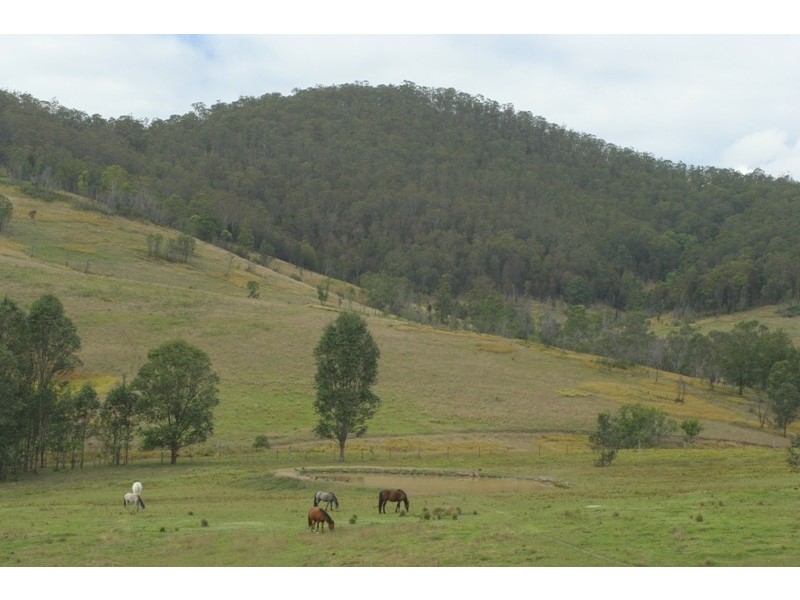 3849 Nowendoc Road, Number One NSW 2424
