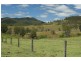 3849 Nowendoc Road, Number One NSW 2424