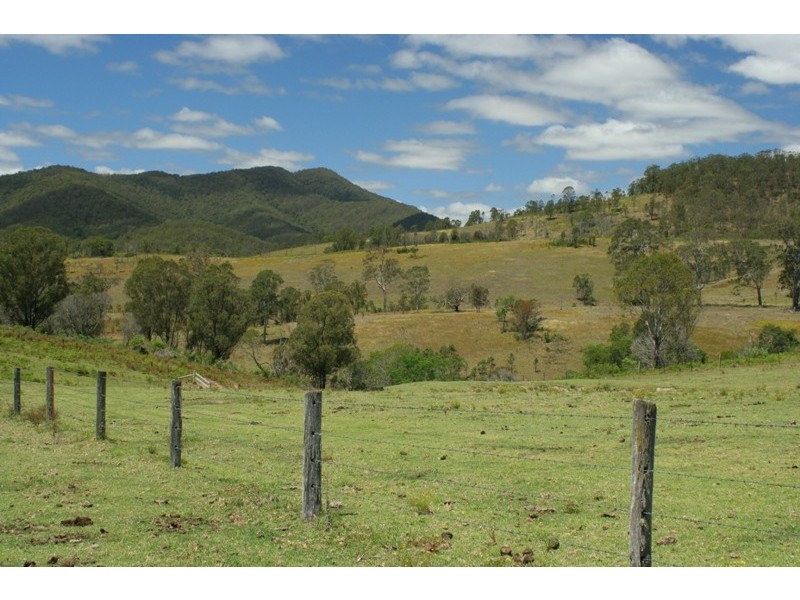 3849 Nowendoc Road, Number One NSW 2424