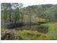 3849 Nowendoc Road, Number One NSW 2424