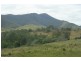 3849 Nowendoc Road, Number One NSW 2424