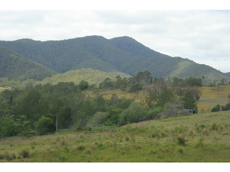 3849 Nowendoc Road, Number One NSW 2424