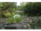 3849 Nowendoc Road, Number One NSW 2424
