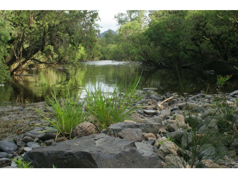 3849 Nowendoc Road, Number One NSW 2424