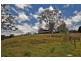 761 Wherrol Flat Road, Wherrol Flat NSW 2429