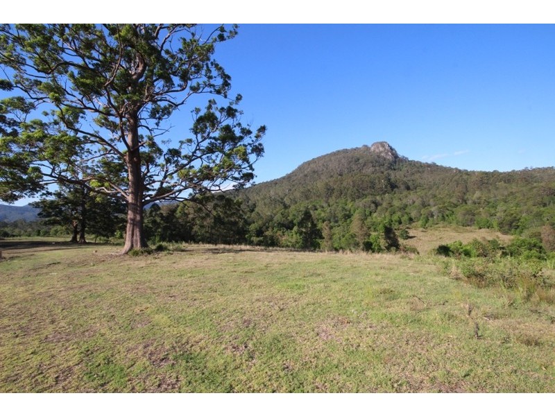 Lot 212 McGilvray Road, Killabakh NSW 2429