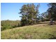 Lot 212 McGilvray Road, Killabakh NSW 2429