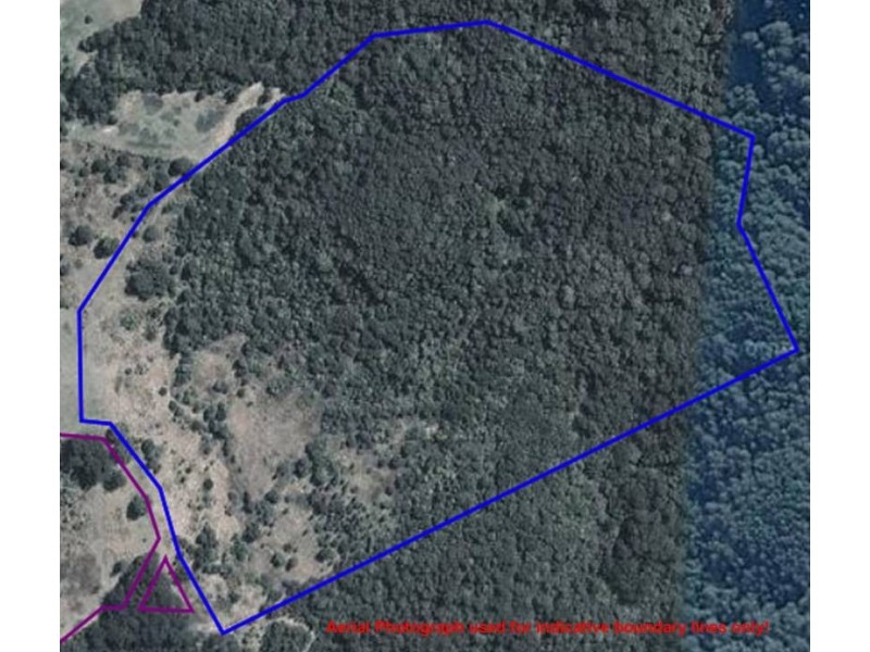 Lot 212 McGilvray Road, Killabakh NSW 2429