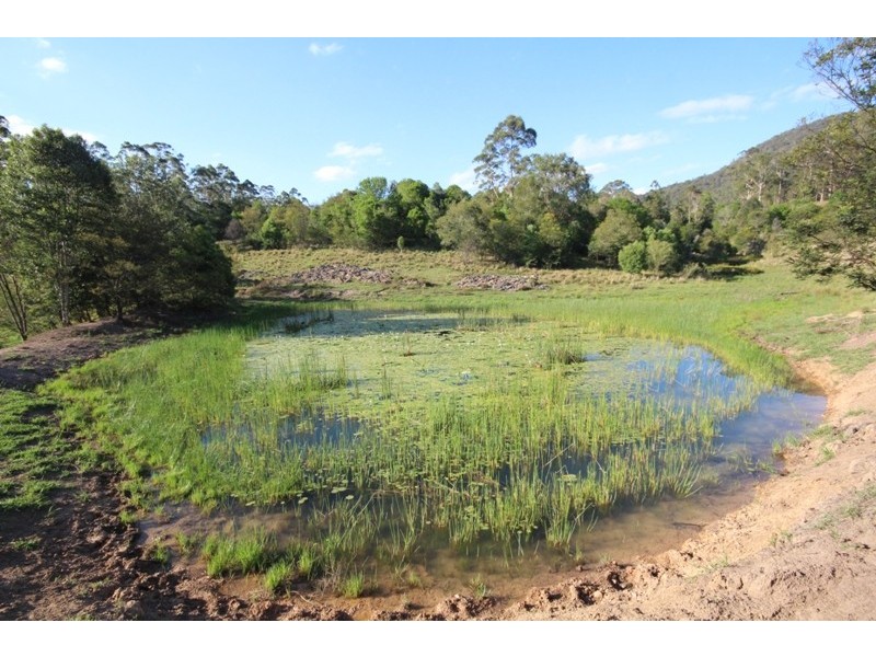 Killabakh NSW 2429