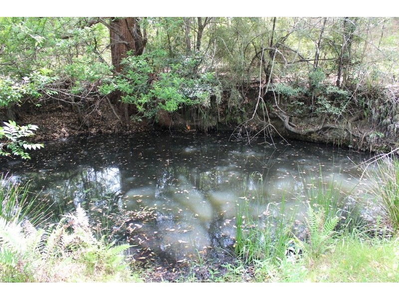 5697 – 5699 The Bucketts Way, Burrell Creek NSW 2429