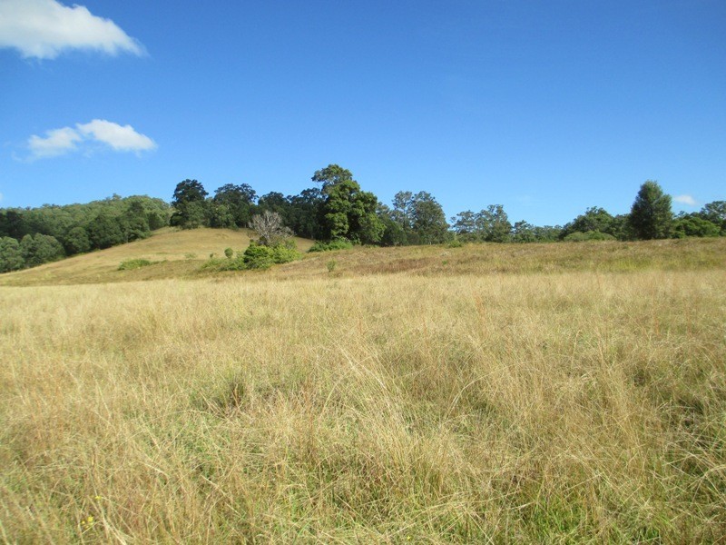 5697 – 5699 The Bucketts Way, Burrell Creek NSW 2429