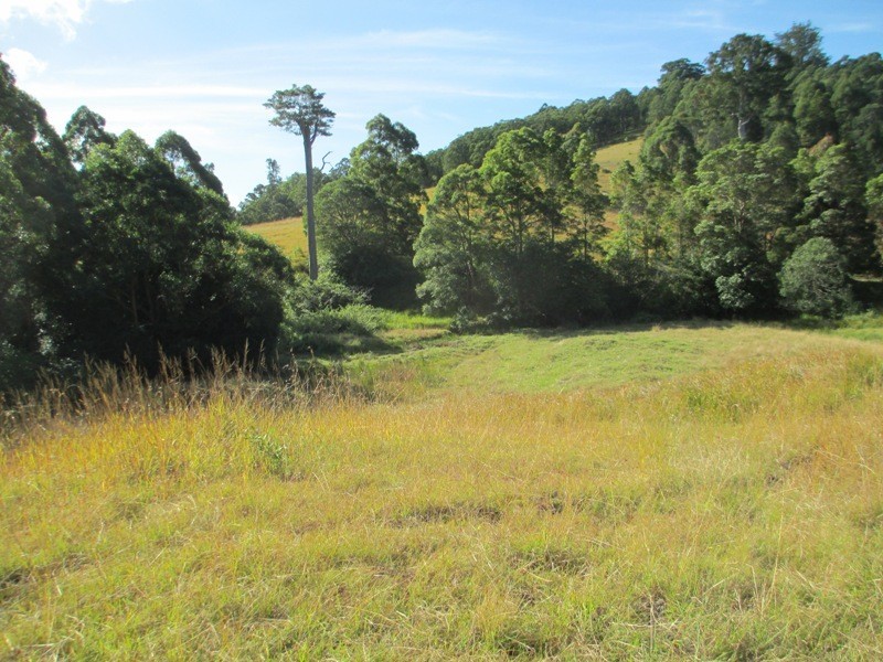 5697 – 5699 The Bucketts Way, Burrell Creek NSW 2429